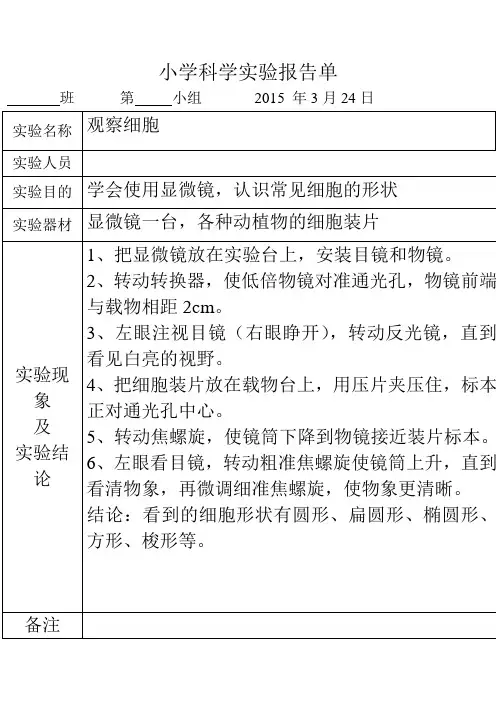 观察细胞实验报告