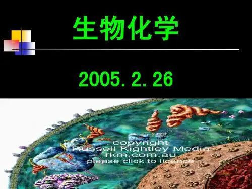 第一章 蛋白质结构与功能