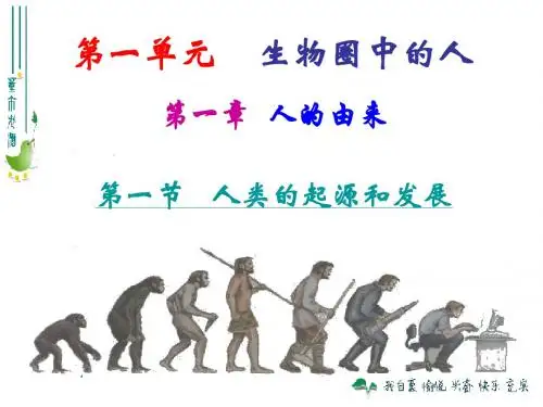 第一节  人类的起源和发展
