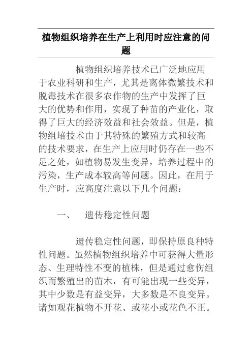 植物组织培养在生产上利用时应注意的问题