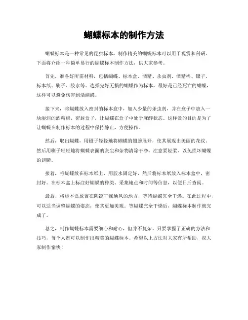 蝴蝶标本的制作方法
