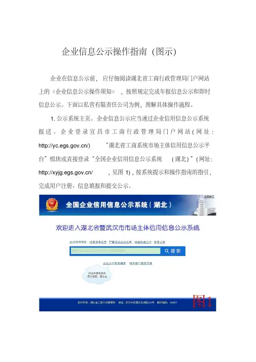 企业信息公示操作指南(图示).doc