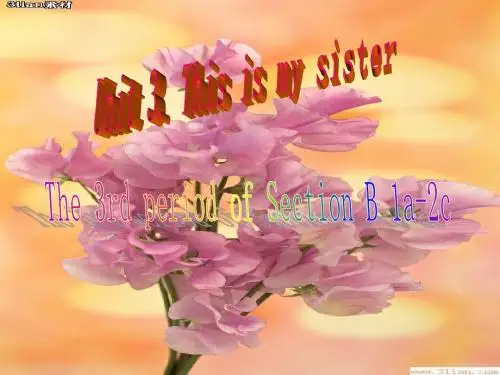 Unit 3 This is my sister.Period 3课件