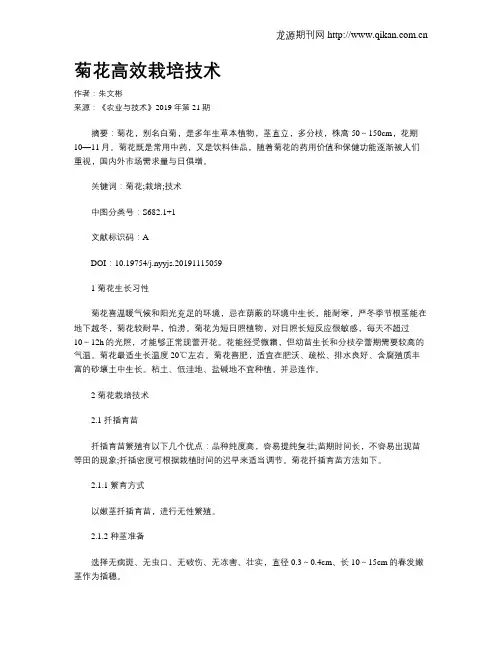 菊花高效栽培技术