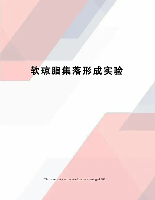 软琼脂集落形成实验