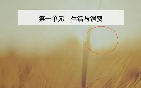 2017-2018学年高中政治必修一课件：第一单元 第三课第二框 树立正确的消费观 精品