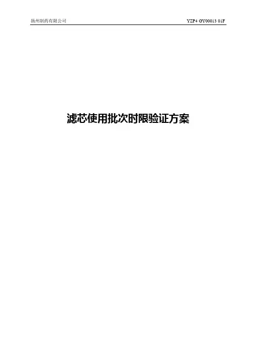 滤芯使用批次时限验证方案