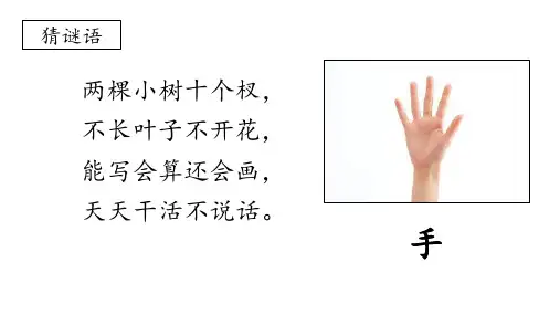 识字6 画