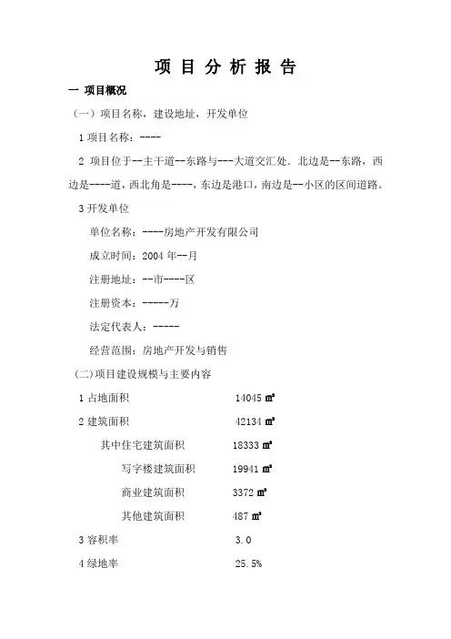 房地产 项目分析报告