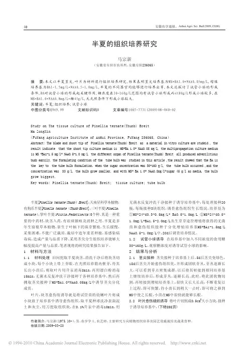半夏的组织培养研究