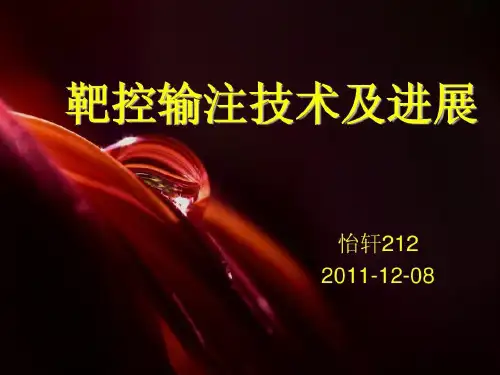 靶控输注技术及进展共47页