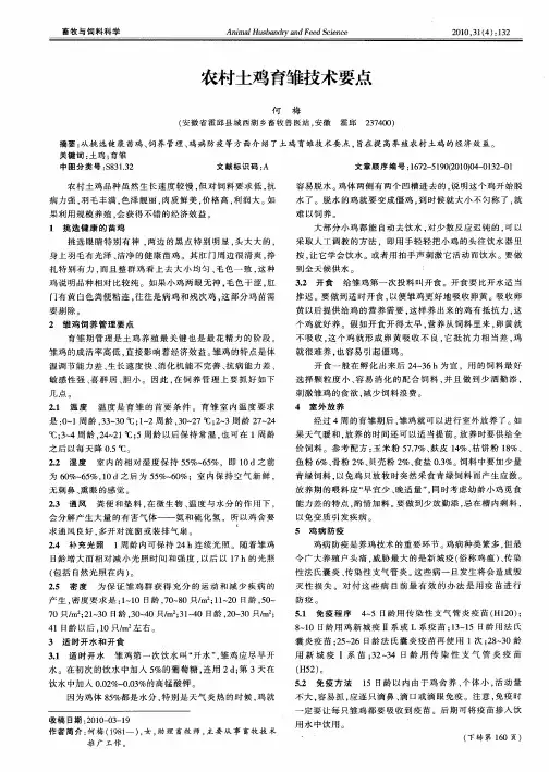 农村土鸡育雏技术要点