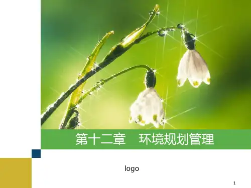 第十二章--环境规划管理PPT课件