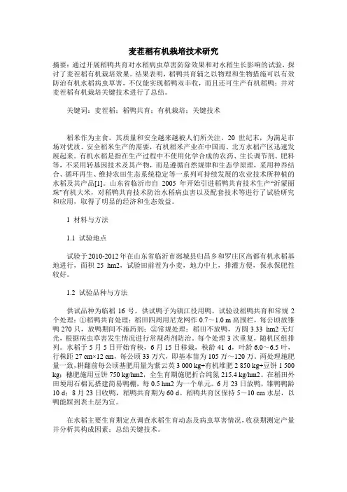 麦茬稻有机栽培技术研究