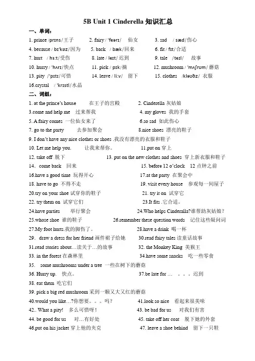 【译林版】5B Unit 1 Cinderella知识汇总