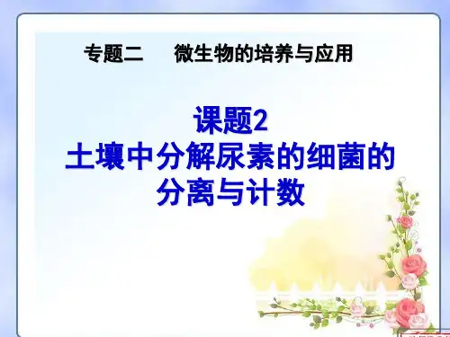 课题2 土壤中分解尿素的细菌的分离与计数