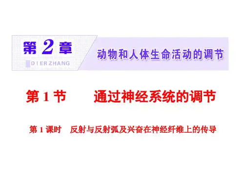 新人教必修3高中生物课件：反射与反射弧及兴奋在神经纤维上的传导