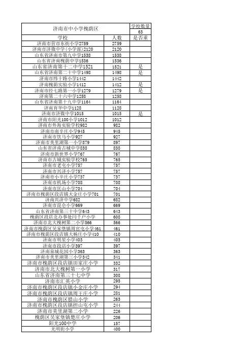 济南槐荫区中小学名称人数