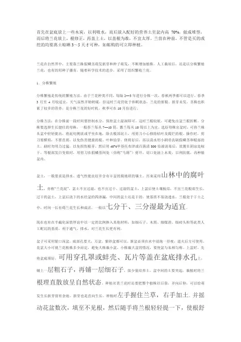 兰花种植方法
