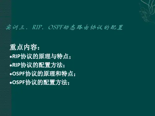 实训三、RIP、OSPF动态路由协议的配置