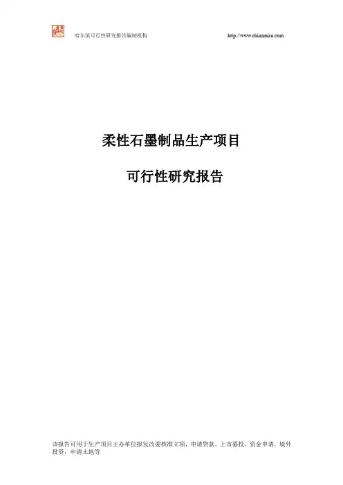 柔性石墨制品生产项目可行性研究报告