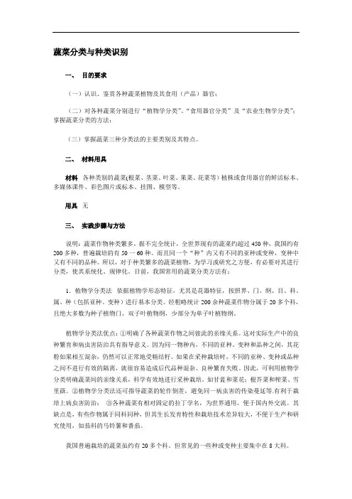 蔬菜分类与种类识别