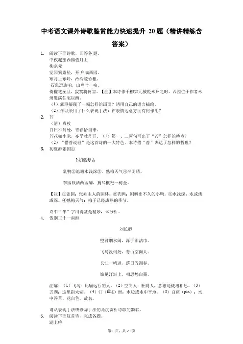 中考语文课外诗歌鉴赏 能力快速提升20题(精讲精练含答案)(15)