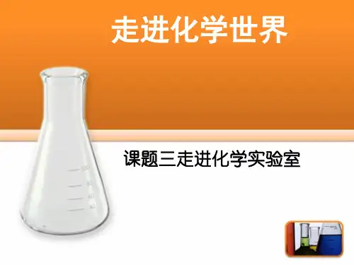 课题3第1课时走进化学实验室