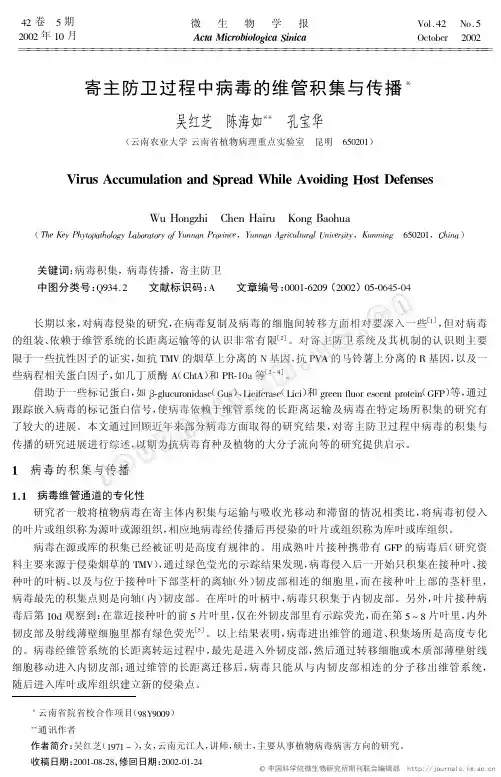寄主防卫过程中病毒的维管积集与传播