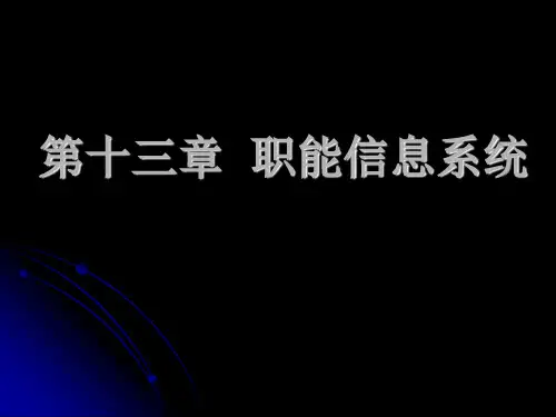 第十三章职能信息系统