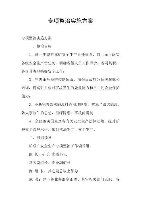专项整治实施方案