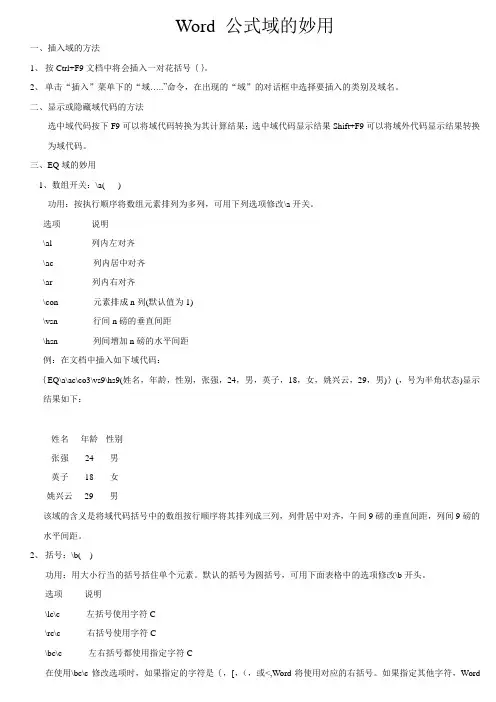 Word 公式域