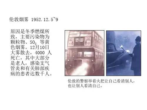 《大学化学教程》课件—05化学与环境保护
