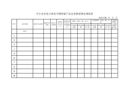 中小企业电子商务专精特新产品企业推进情况调度表