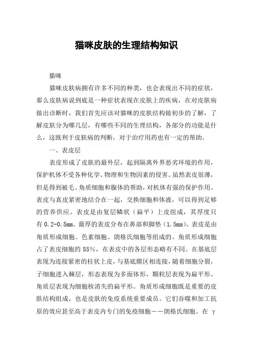 猫咪皮肤的生理结构知识
