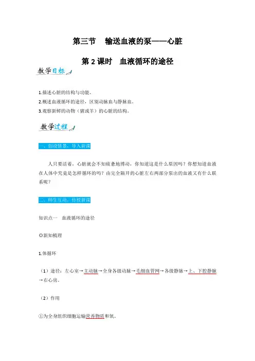 人教版七年级生物下册4.4.3.2输送血液的泵——心脏(第2课时)教案设计