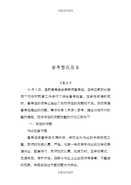 督导整改报告