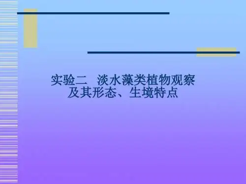 实验2藻类鉴定一