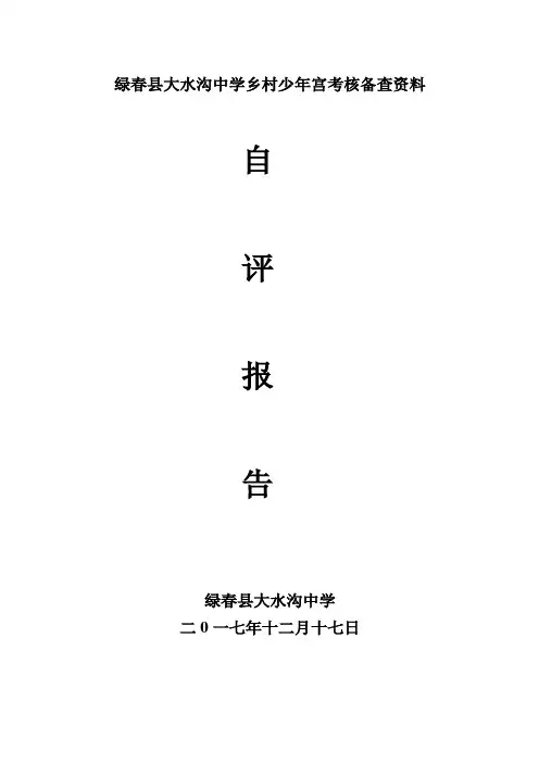 学校少年宫活动情况自查报告