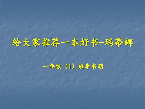 给大家推荐一本好书 玛蒂娜
