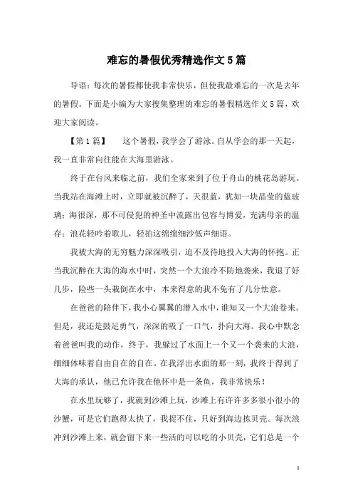 难忘的暑假优秀精选作文5篇