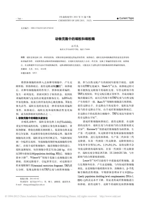 动物克隆中的端粒和端粒酶