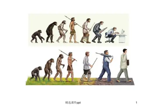人教版高中生物必修2《种群基因频率的改变与生物进化》