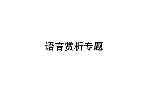 语言赏析专题ppt课件