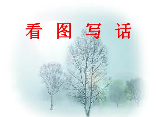 看图写话指导( 多幅图)
