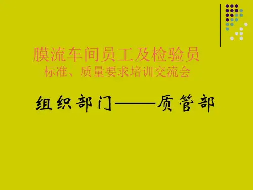 膜式壁制造及检验工艺
