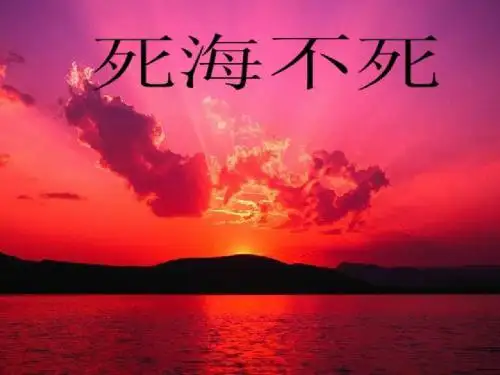 《死海不死》ppt课件08