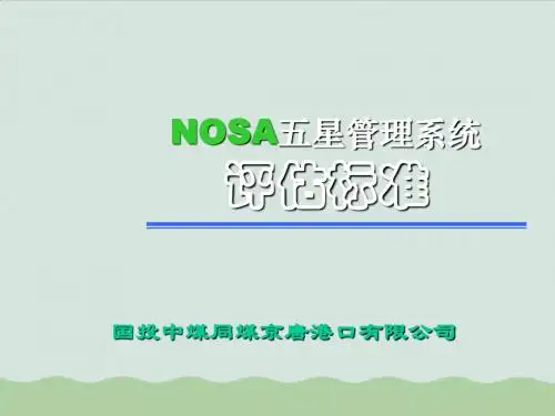 NOSA五星管理系统评估标准详述ppt(共95页)