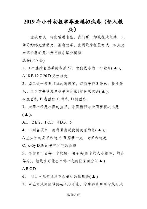 小升初数学毕业模拟试卷(新人教版)