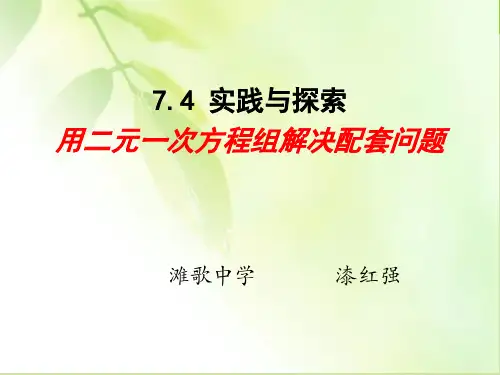 用二元一次方程组解决配套问题